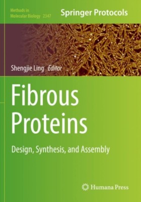 Fibrous Pr …