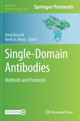 Single-Dom &hellip;