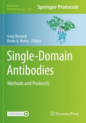 Single-Dom &hellip;
