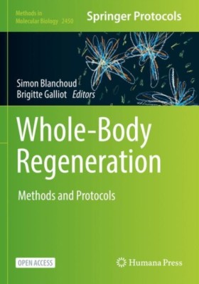 Whole-Body …