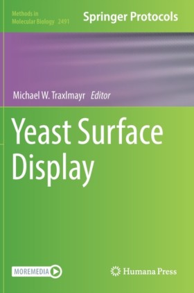 Yeast Surf …