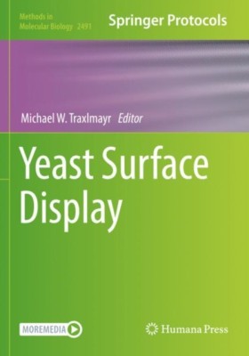 Yeast Surf …