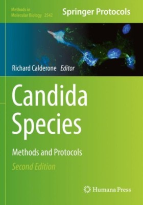 Candida Sp …