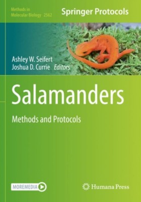 Salamander …