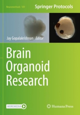 Brain Orga &hellip;