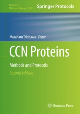 CCN Protei …