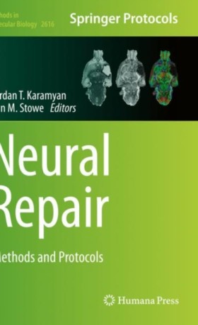 Neural Rep …