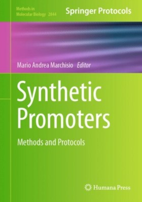 Synthetic &hellip;