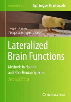 Lateralize …