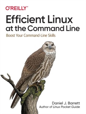 Efficient …