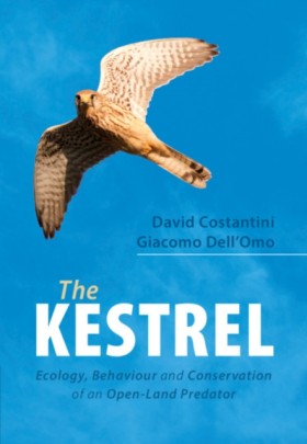The Kestre &hellip;