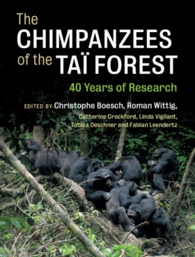 The Chimpa &hellip;