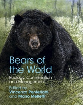 Bears of t …
