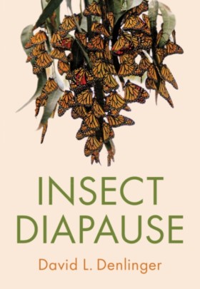 Insect Dia &hellip;