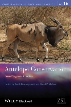 Antelope C …