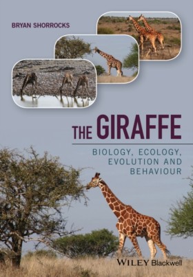 The Giraff …