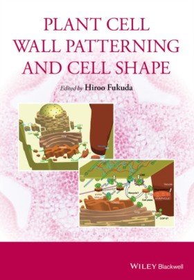 Plant Cell …