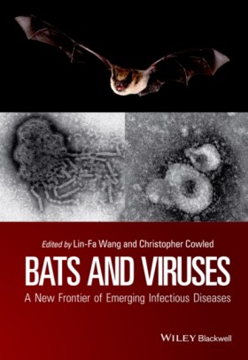 Bats and V &hellip;