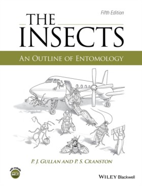 The Insect …