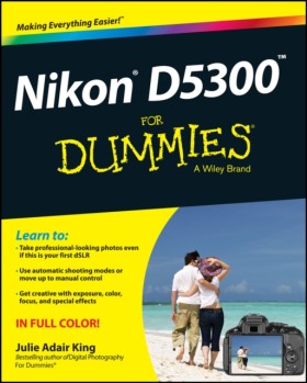 Nikon D530 …