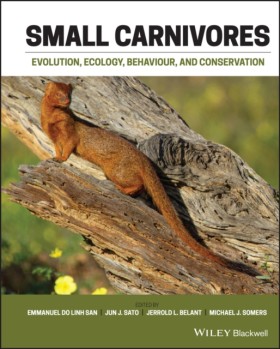 Small Carn …