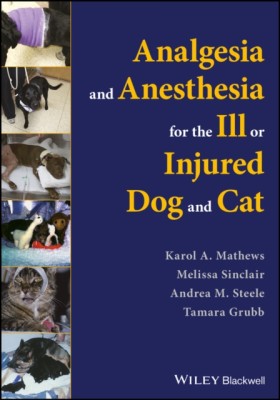 Analgesia …