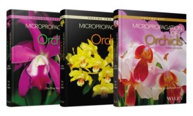 Micropropa &hellip;
