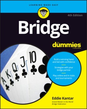 Bridge For …