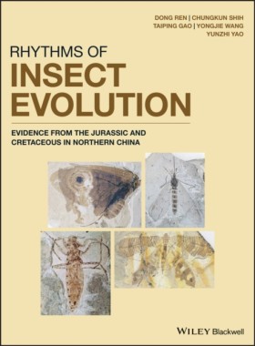 Rhythms of …