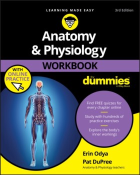 Anatomy & &hellip;