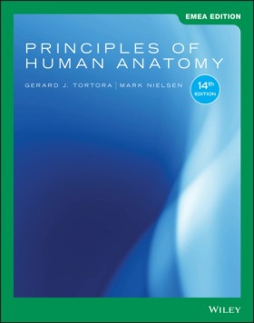 Principles &hellip;