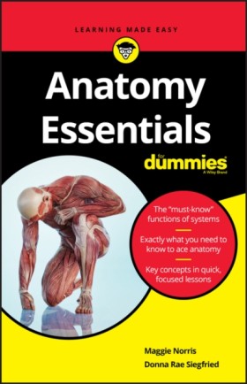 Anatomy Es &hellip;