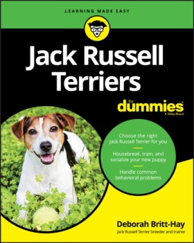 Jack Russe …