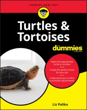 Turtles & &hellip;