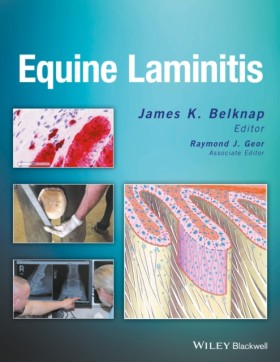 Equine Lam &hellip;