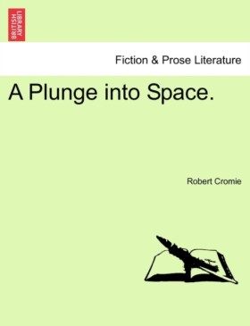 A Plunge I …