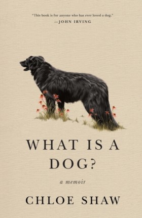 What Is a &hellip;