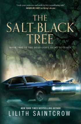 The Salt-B …