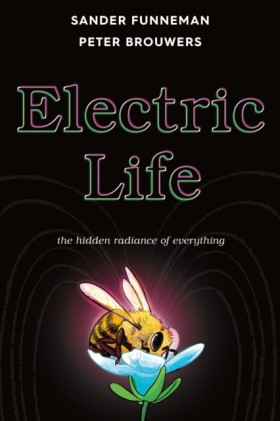 Electric L &hellip;