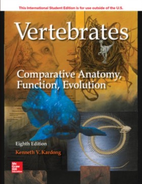 ISE Verteb &hellip;