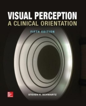 Visual Per &hellip;