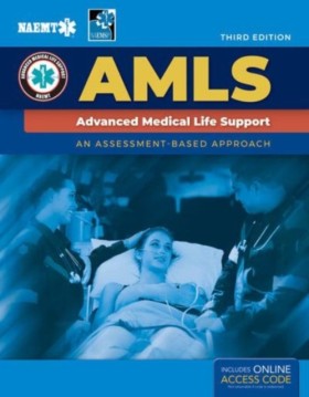 AMLS: Adva …