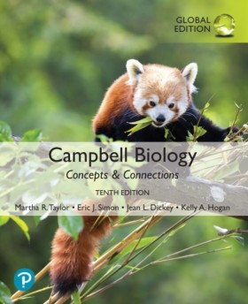 Campbell B &hellip;