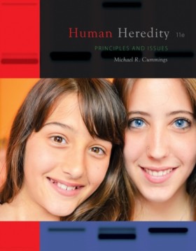 Human Here …