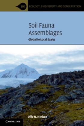 Soil Fauna …