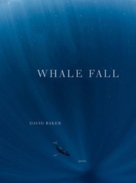 Whale Fall