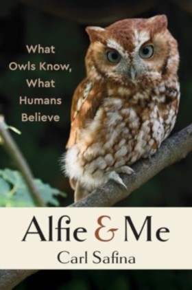 Alfie and &hellip;