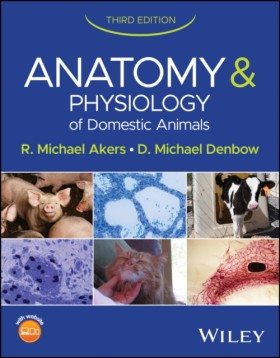 Anatomy an …