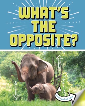 Whats the …