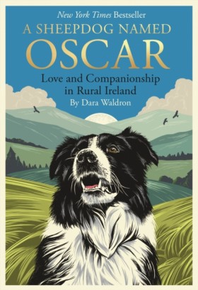 A Sheepdog …